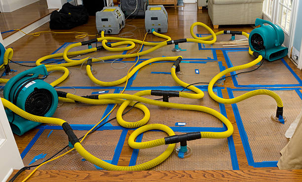 Professional Water Extraction technician working in California Hot Springs, CA